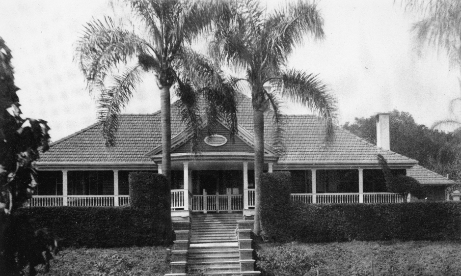 A picture of a house with two palm trees out the front